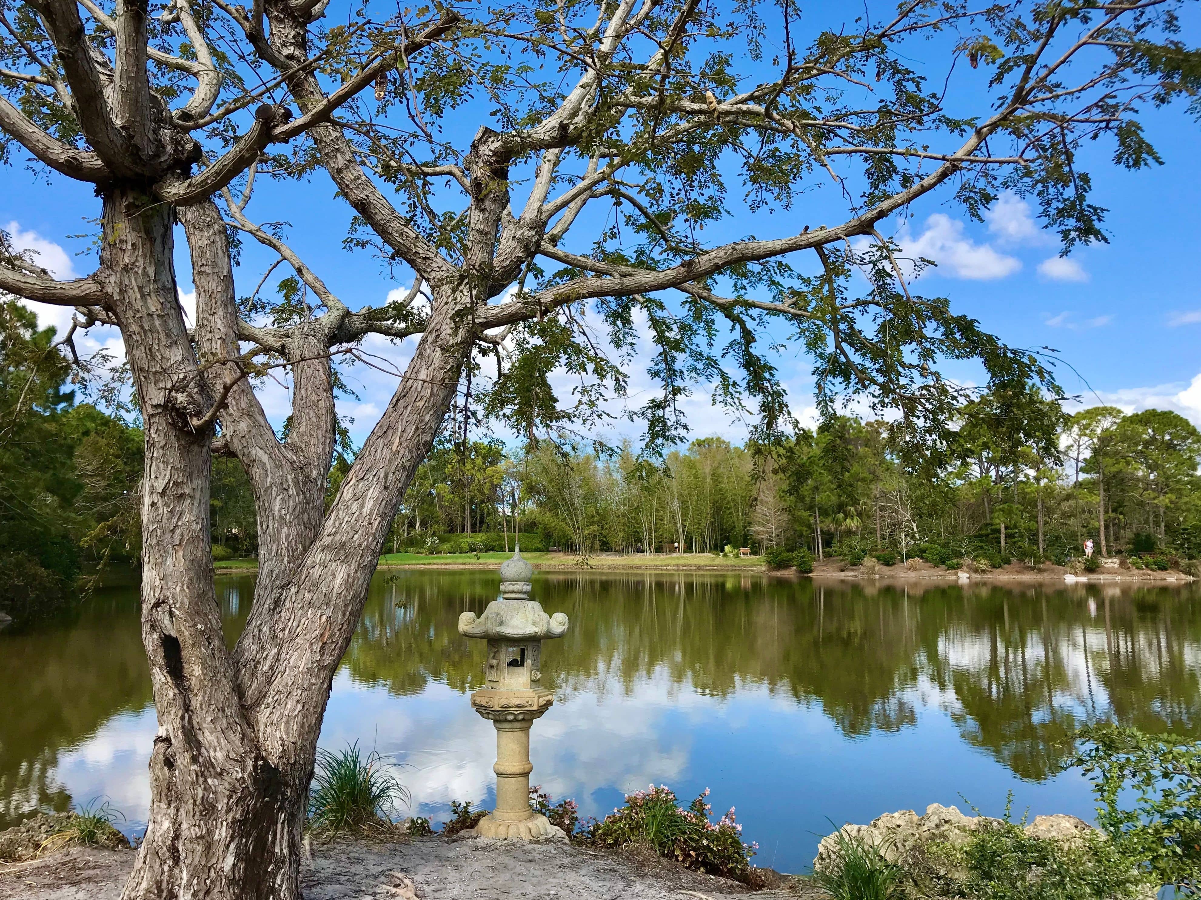 Camy's Acupuncture & Herbs Clinic - Naples, FL